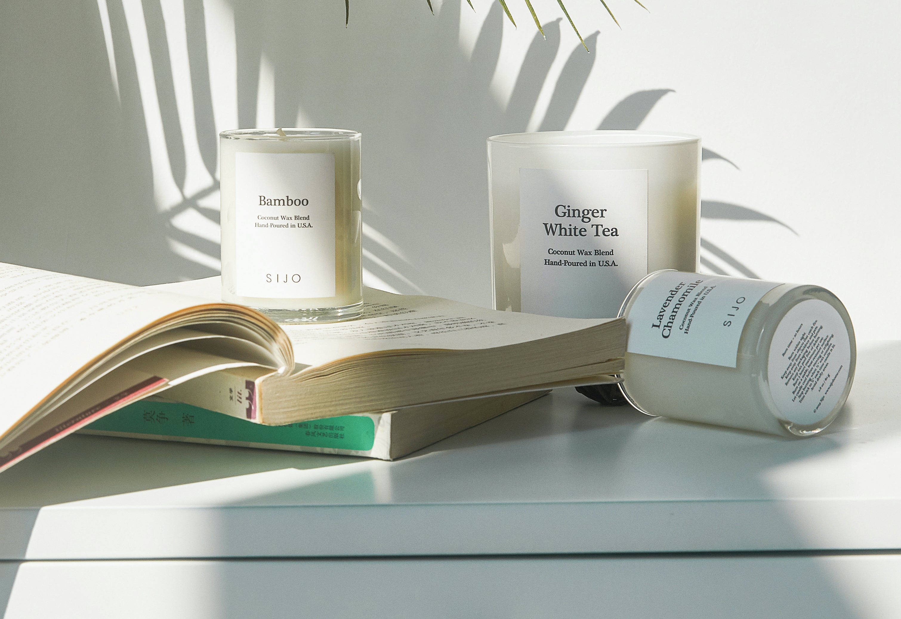 April Team Favorites