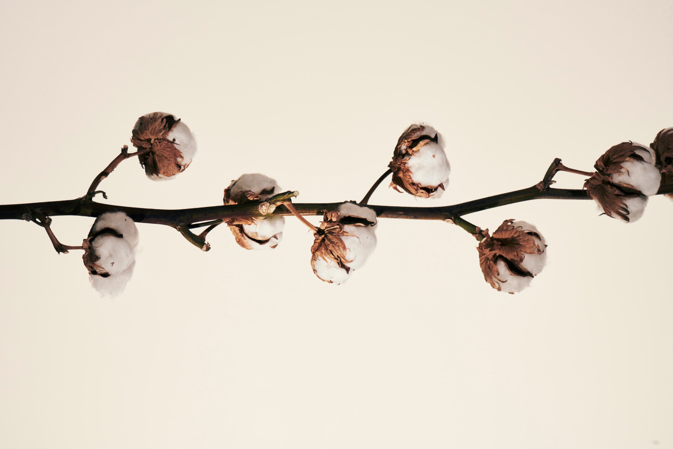 LuxeSoft Organic Sateen Cotton Bedding