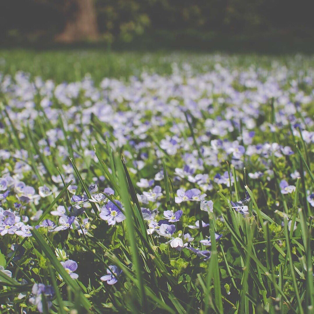 Spring Cleaning Tips for 2020: How To Refresh Your Home