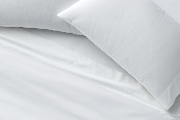 Eucalyptus vs CLIMA: Which comforter is best for you?