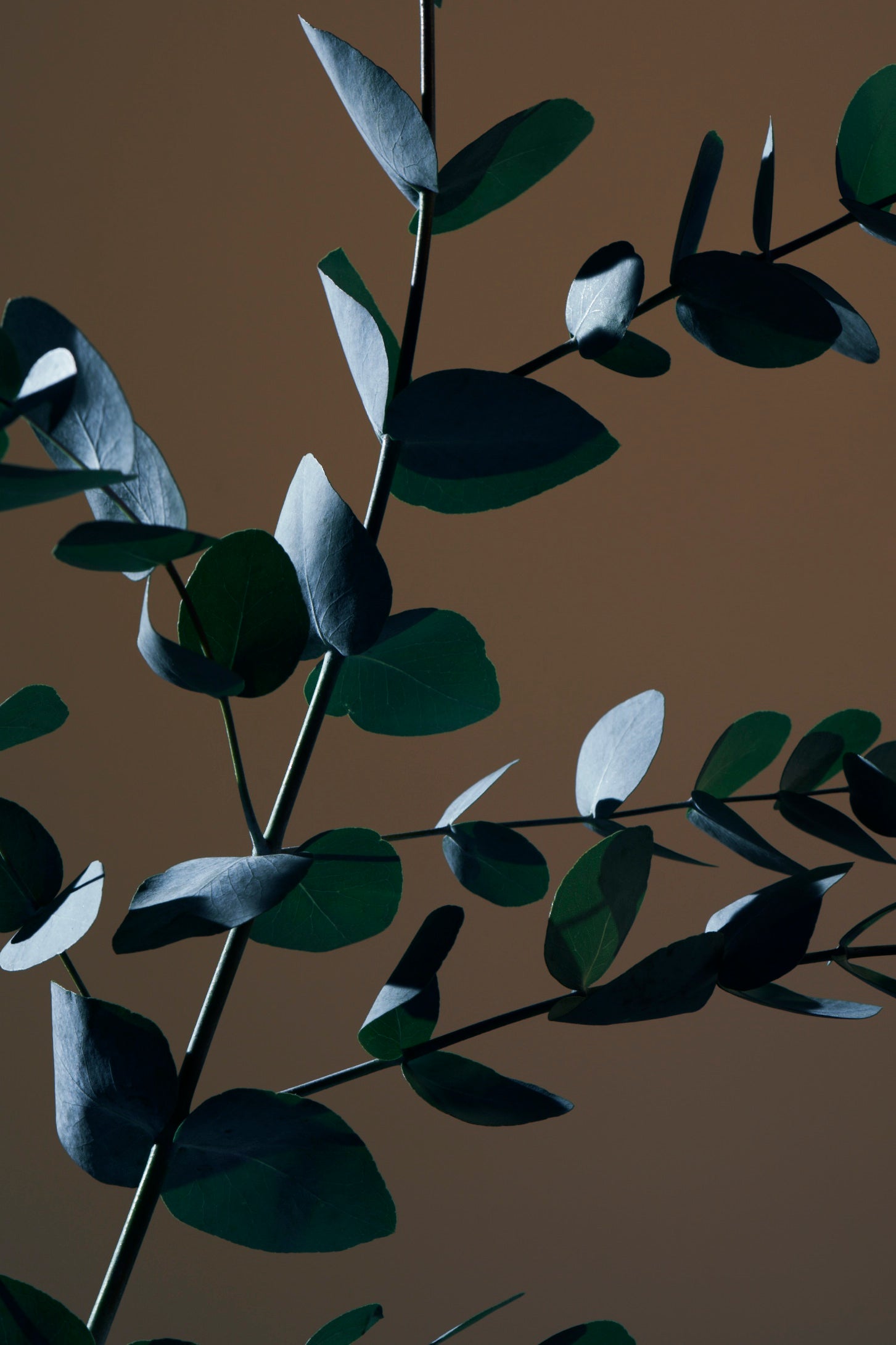 4 Reasons to Try Eco-Friendly Bedding