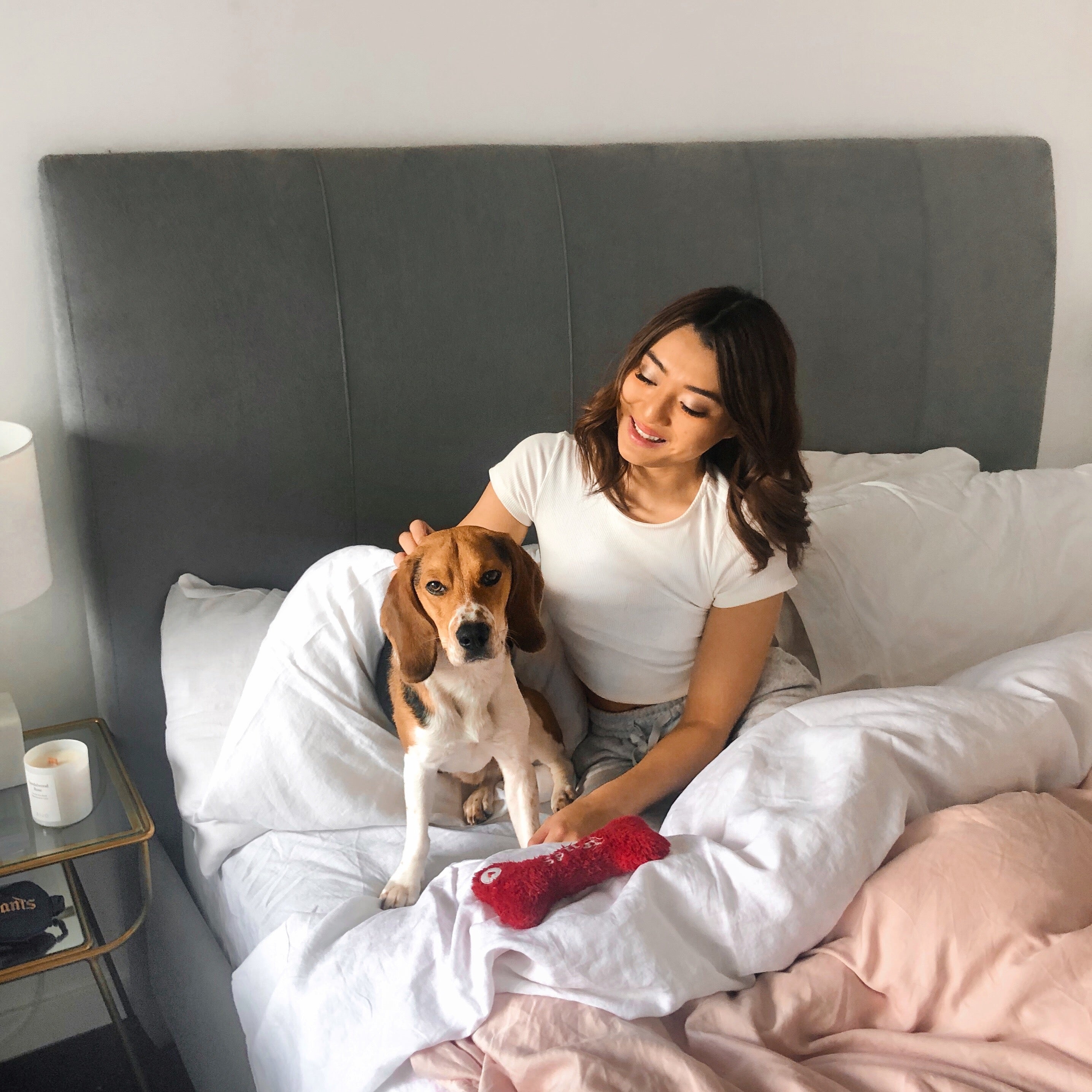 Pets & Eucalyptus: A Safe Combination?