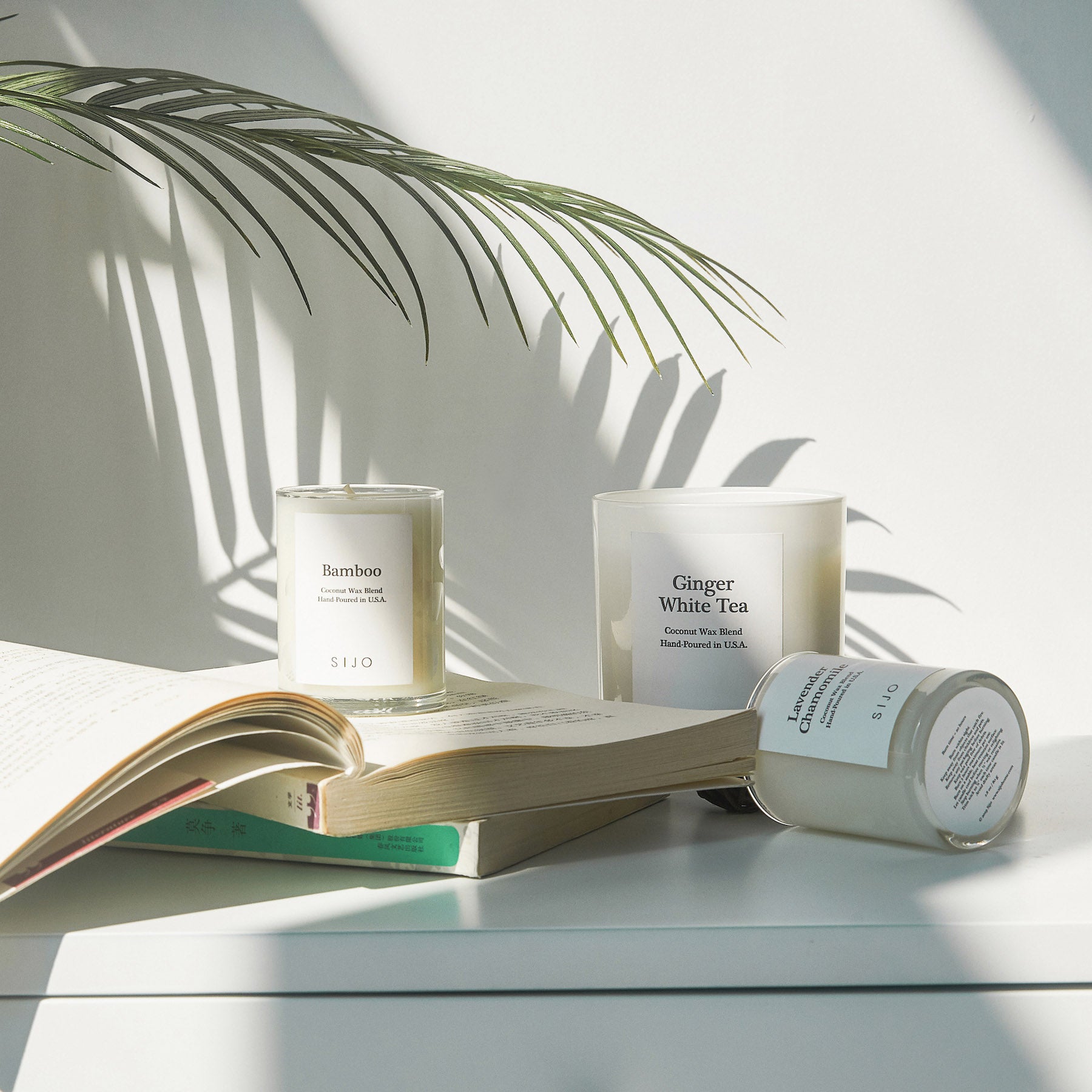 Luxury Coconut Scented Candles